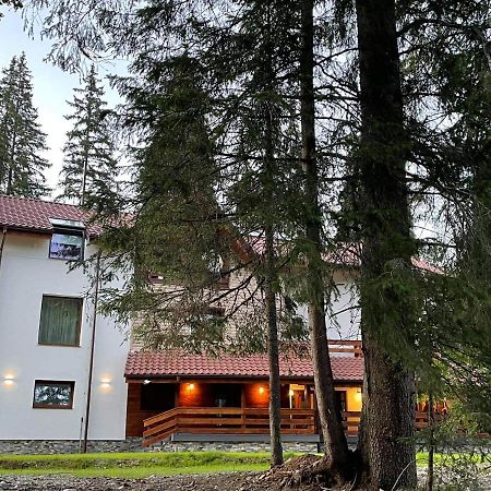 Sidharta Resort Obarsia Lotrului Exterior foto