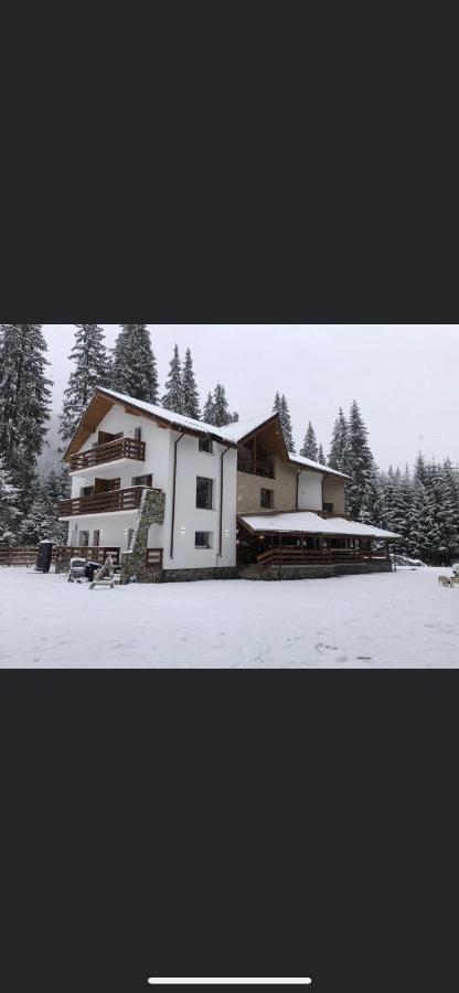 Sidharta Resort Obarsia Lotrului Exterior foto