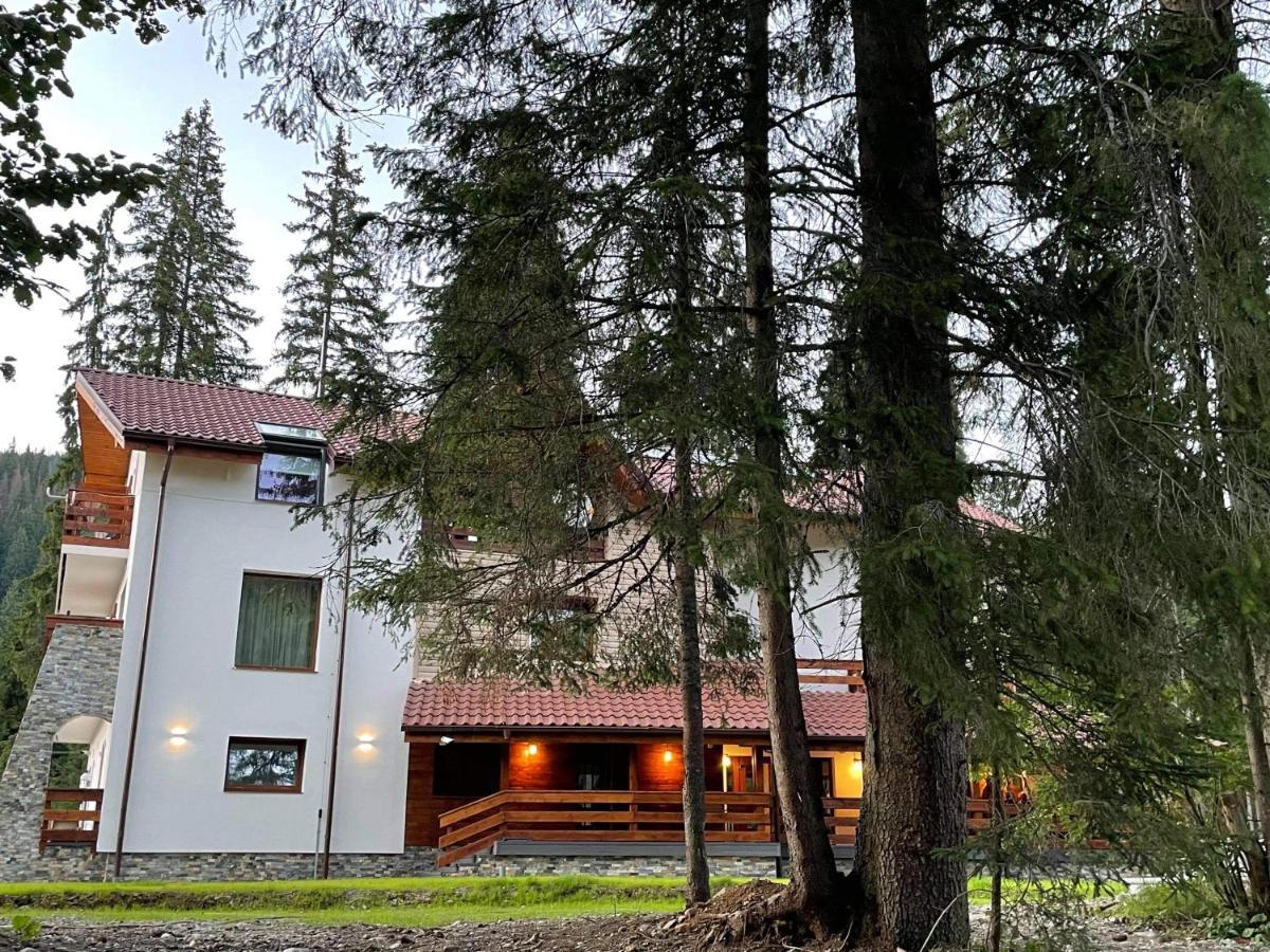 Sidharta Resort Obarsia Lotrului Exterior foto